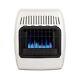 10000 Btu Dual Fuel Vent Free Convection Wall Heater Thermostatic Blue Flame