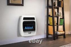 10000 BTU Natural Gas Blue Flame Convection Vent Free Thermostatic Wall Heater