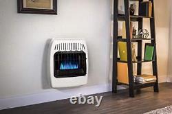 10000 BTU Natural Gas Blue Flame Vent Free Wall Heater White