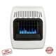 10000 Btu White Dual Fuel Convection Vent Free Wall Heater Home Cabin Warmer