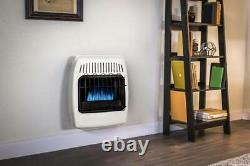 10,000 BTU Natural Gas Blue Flame Vent Free Wall Heater