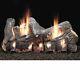 18 Sassafras Vent Free Gas Logs With Variable Control Ng