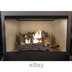 18 in. Dual Fuel Fireplace Logs Natural Gas Liquid Propane Vent Free Insert Kit