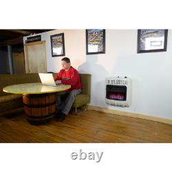 20,000 Btu Vent Free Blue Flame Natural Gas Heater Quickly Efficiently Warms