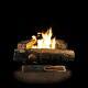 24 In. Vent-free Natural Gas Fireplace Logs Log Set Diy Insert Heat Kit Burner