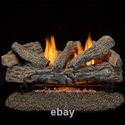 24 in. Vent Free Natural Gas Log Set with Remote Control