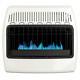 30000 Btu Dual Fuel Vent Free Blue Flame Convection Wall Heater Cabin Warmer