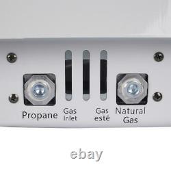 30000 BTU Dual Fuel Vent Free Blue Flame Convection Wall Heater Cabin Warmer