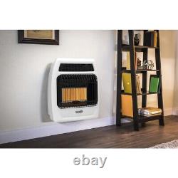 30000 BTU Indoor Natural Gas Infrared Vent Free Floor Wall Thermostatic Heater