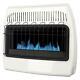 30000 Btu Natural Gas Blue Flame Vent Free Wall Heater Versatile