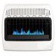 30000 Btu Natural Gas Blue Flame Vent Free Wall Manual Heater Variable Heat