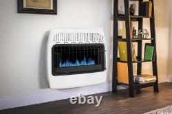 30000 BTU Natural Gas Blue Flame Vent Free Wall Manual Heater Variable Heat