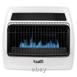 30000 BTU Natural Gas Blue Flame Ventless Thermostatic Convection Wall Heater