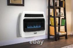 30000 BTU Natural Gas Blue Flame Ventless Thermostatic Convection Wall Heater