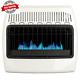 30000 Btu Wall Heater Cabin Warmer Dual Fuel Vent Free Convection Blue Flame