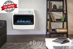 30000 BTU Wall Heater Cabin Warmer Dual Fuel Vent Free Convection Blue Flame