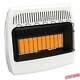 30000 Btu Wall Heater Dual Fuel Vent Free Blue Flame Convection Cabin Warmer