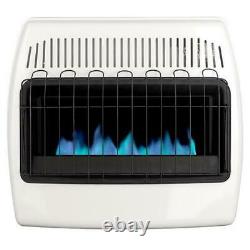 30000 BTU Wall Heater Dual Fuel Vent Free Blue Flame Convection Cabin Warmer