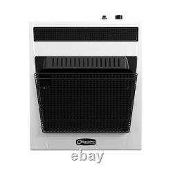 30K BTU Vent-Free Natural Gas Blue Flame Space Heater without Fan