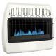 30,000 Btu Blue Flame Vent Free Liquid Propane Thermostatic Wall Heater