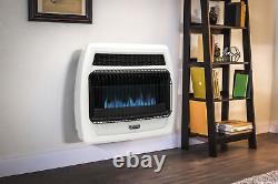 30,000 BTU Natural Gas Wall Heater Blue Flame Vent Free Thermostatic