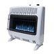 30,000 Btu Vent Free Blue Flame Natural Gas Heater