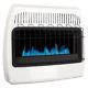 30,000 Btu Vent Free Natural Gas Blue Flame Wall Heater, No Electricity Needed