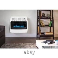 30,000 BTU Vent Free Natural Gas Blue Flame Wall Heater, No Electricity Needed