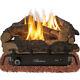 32,000 Btu Natural Gas Fueled Log Set Dual Burner Ember 24-inch Vent-free