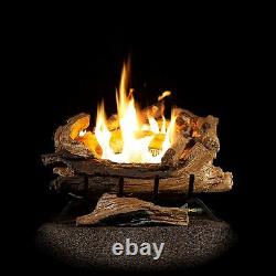 American Elm Vent Free Gas Log Set Insert with REMOTE AEVF18FANG Natural Gas