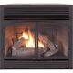 Bluegrass Living Vent-free Dual Fuel Fireplace Insert 32k Btu Blk Remote Control