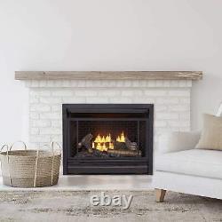 Bluegrass Living Vent Free Natural Gas Fireplace Insert 26,000 BTU B300RTN