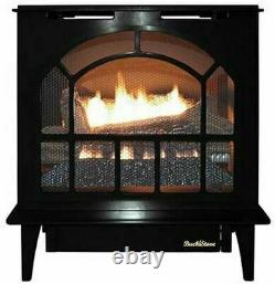 Buck Stove Hepplewhite Vent-Free Steel Gas Stove in Black NG