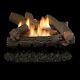 Crescent Hill Vent Free 24 Gas Logs With Millivolt Control Ng