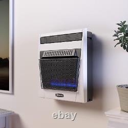 DEGREES of ACCURACY Natural Gas Indoor Room Heater Blue Flame Vent-Free Space He