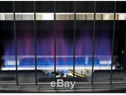 Dual Fuel Garage Heater 30,000 BTU Propane Natural Gas Blue Flame Heat Vent Free