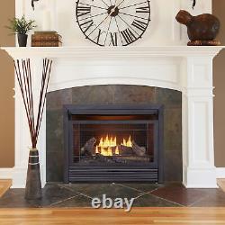 Duluth Forge 26,000 BTU Dual Fuel Ventless Gas Fireplace Insert withRemote Control