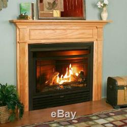 Duluth Forge Dual Fuel Vent Free Insert-26000 BTU Remote Control Fireplace In