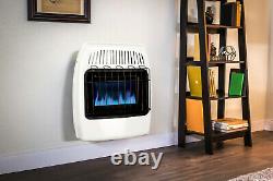 Dyna-Glo 20,000 BTU Natural Gas Blue Flame Vent Free Wall Heater