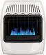 Dyna-glo 20,000 Btu Natural Gas Blue Flame Vent Free Wall Heater, White
