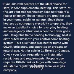 Dyna-Glo 30,000 BTU Indoor Wall Heater Vent Free Dual Fuel Blue Flame Powerful
