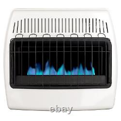 Dyna-Glo 30,000 BTU Natural Gas Blue Flame Vent Free Wall Heater
