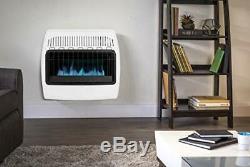 Dyna-Glo 30,000 BTU Natural Gas Blue Flame Vent Free Wall Heater White Household