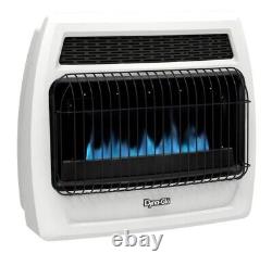 Dyna-Glo Signature Series Blue Flame Dual Fuel Vent Free Wall Heater 30,000 BTU