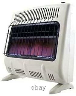 E Flame Vent Free Heaters Natural Gas Electronic Ignition Home
