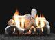 Empire 30 Birch Logset With Ip Ventfree Slope Glaze Burner- Natural Gas