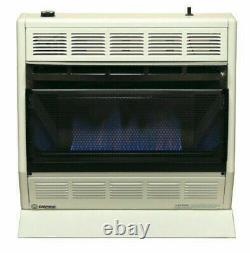 Empire BF-30-NG 30,000 BTU Blue Flame Vent-Free Gas Heater NEW