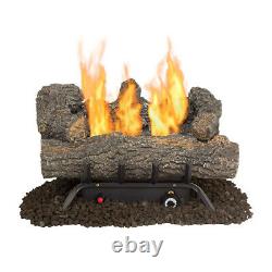 English Oak 19.75 in. Vent-Free Dual Fuel Gas Fireplace Logs by Pleasant Hearth