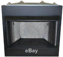 Fireplace Insert 42 in. Firebox Vent-Free Dual Fuel Natural Gas Liquid Propane