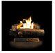 Fireplace Log Vent Free Natural Gas With Thermostatic Control Oakwood Home 24 In